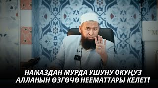 НАМАЗДАН МУРДА УШУНУ ОКУҢУЗ АЛЛАНЫН ӨЗГӨЧӨ НЕЕМАТТАРЫ КЕЛЕТ! 14 08 25 Suroo Joop