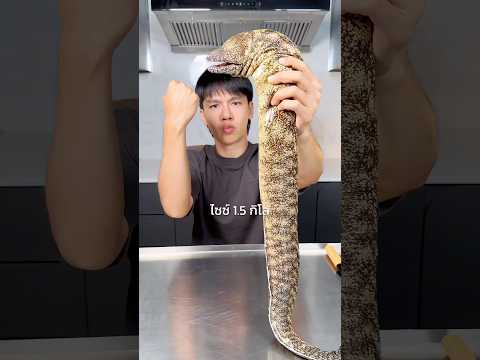 ปลาไหลมอเรย์ตุ๋นพริกจีน 🐟#seafood #moray #eel