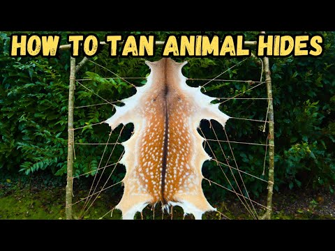 HOW TO TAN ANIMAL HIDES - THE EASY WAY