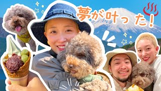 動画サムネイル