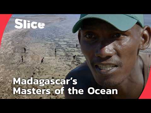 YouTube video thumbnail: The Vanishing World of the Vezo Fishermen: Life Aboard the Laka Canoe