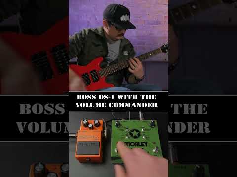 Boss DS-1 Distortion With the Morley Volume Commander #distortion