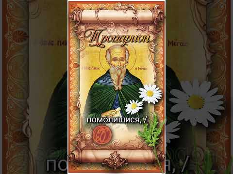 2 июля Прп. Паисий Великий (V век)
