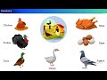 Animal Husbandry Concepts and Practices