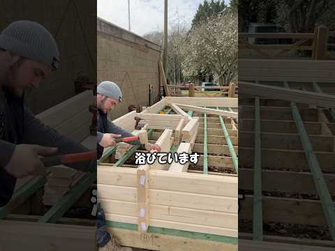 激安の家