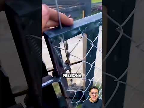 Como cuando bloqueas tu la puerta para que no se escapen tus perros sin gastar un peso #shorts