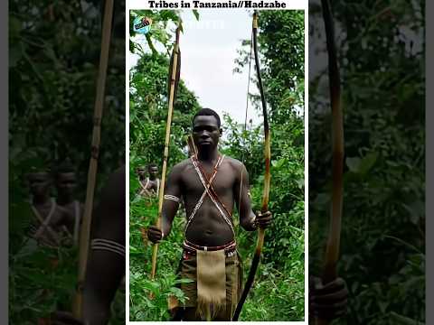Tribes in Tanzania //Hadzabe//MSD survey #shorts