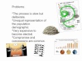 Understanding Democracy and Republic Concepts