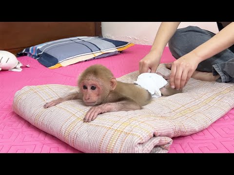 Bibi received Special Massage and Care from Mom