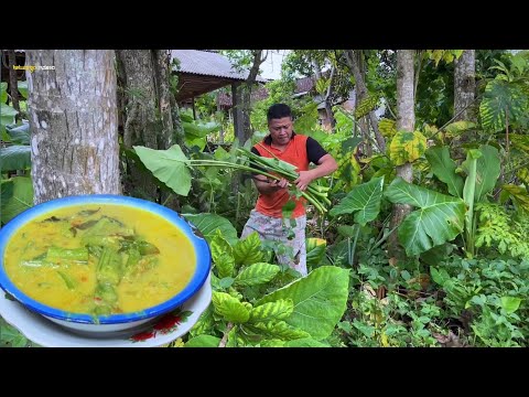 suami gagal diet gara gara di masakin ini,sayur lompong santan pedas,ikan asin goreng,masakan desa