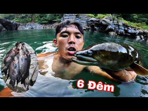 6 Đêm Quay Trở Lại Thượng Nguồn Sông ĐỒNG NAI | Săn Tìm Cá Lăng Rừng ( phần 1)