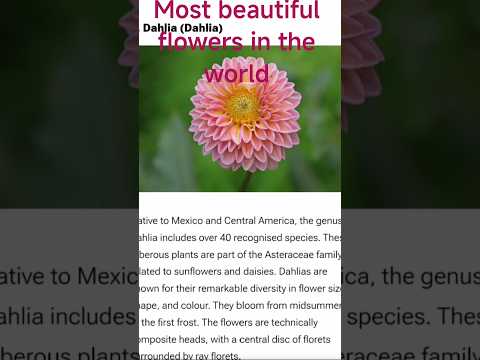 7 most beautiful flowers in the world#flowers