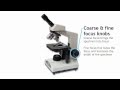 Exploring the Parts of a Compound Light Microscope