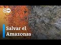 Deforestación y Conservación de la Amazonía