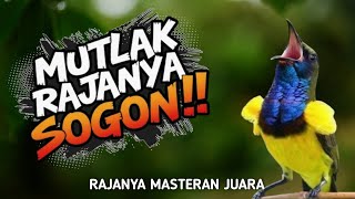 Ternyata ini rajanya !! MASTERAN SOGON SEKALI NAFAS 5 MATERI ‼️