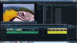 Making Of (YTK - Brasilien : Intro) in highspeed