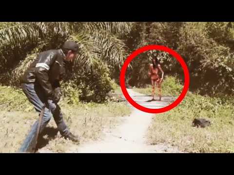 Most Disturbing Forest Encounters Caught on Camera