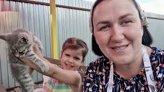 видео