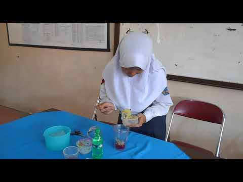 Praktek Bahasa Inggris - Musyarofah