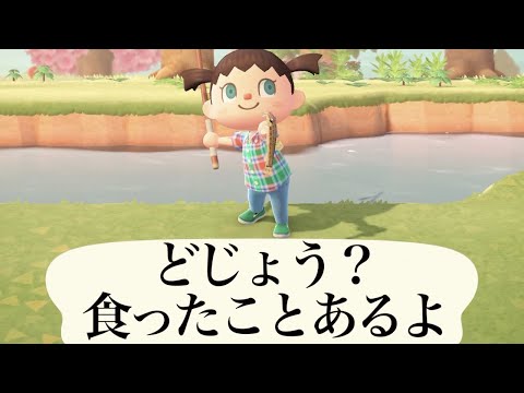 【あつ森】どじょうを食った話とか始める軽く頭のおかしいどう森実況【二日目】