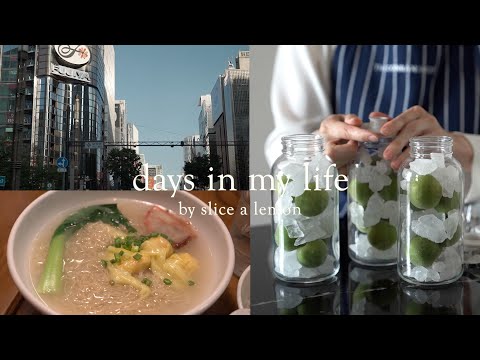 銀座でお寿司/梅シロップ/スコーン作り/２児ママ日常vlog
