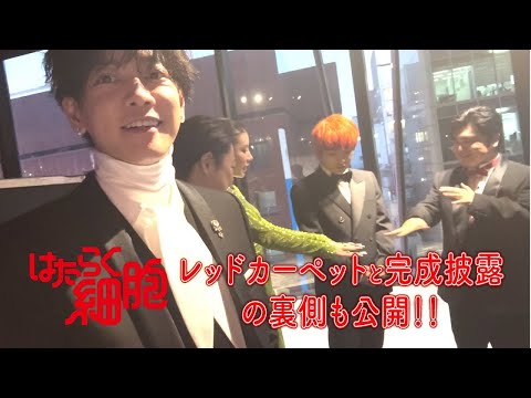 【はたらく細胞🎬✨】プレミアイベントの裏側をお届け！