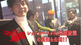 動画サムネイル