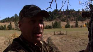15 Black Hills Bucks (Bobby Yach)