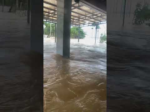 Hót Nhất Lúc Này Cà Mau Chìm Trong Nước Lũ#tintuc#tintuchomnay