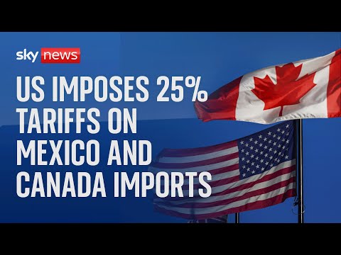 Donald Trump confirms Mexico and Canada tariffs, prompting stock market sell-off