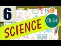 Water Cycle and Conservation Concepts