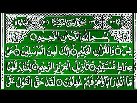 🔴 LIVE Surah Yaseen Surah Mulk || Best Qur'an Recitation || Morning Qur'an dua || Qur'an Tilawat