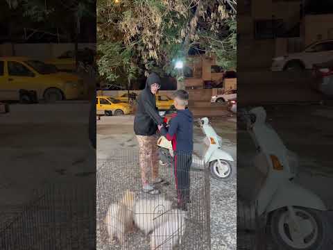 اخوي يريد جلب غالي😳