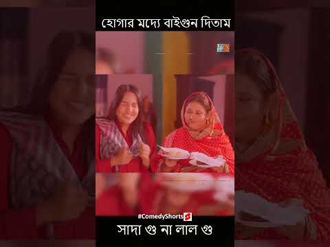 হো*গার মদ্যে বাইগুন দিতাম #bengalinatok