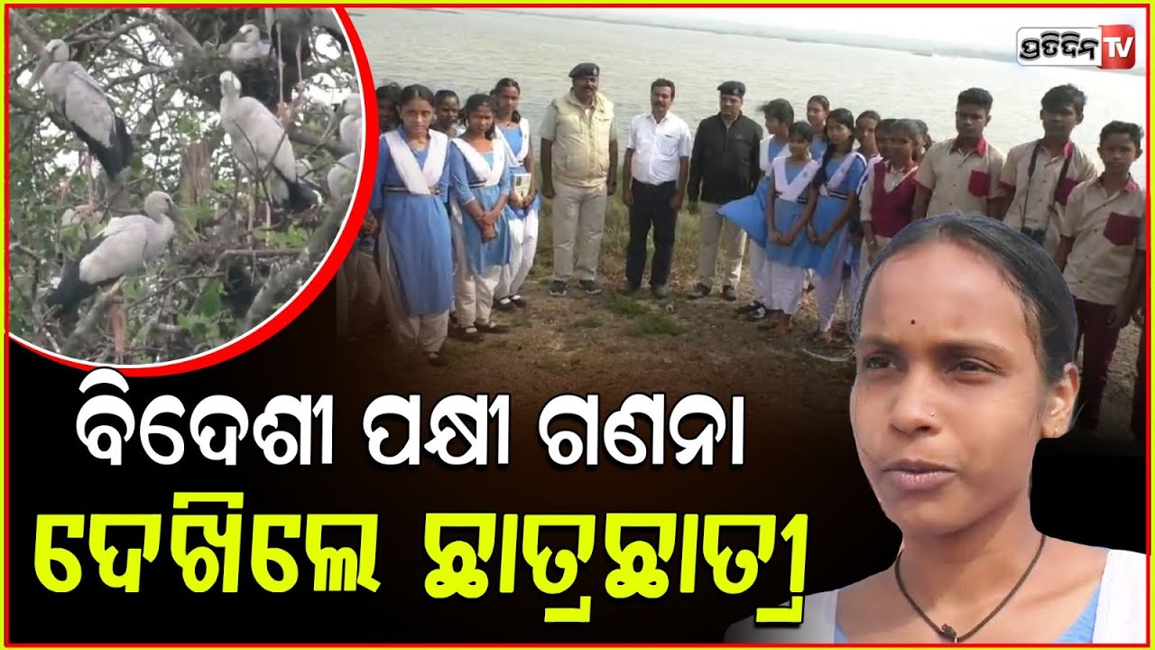 ରାଜନଗର ମହାକାଳପଡ଼ା ପକ୍ଷୀଗଣନା ଦେଖିଲେ ସ୍କୁଲ ଛାତ୍ରଛାତ୍ରୀ । Bird counting in Rajnagar, Kendrapara.