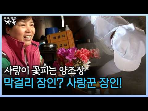 사랑이 꽃피는 양조장 <strong>막걸리</strong> 장인? 사랑꾼 장인! #<strong>막걸리</strong> #손막걸리 #장인 [다시보는 ‘가족’ 69회-1]