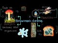 Types of Nutrition in Organisms