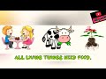 Nutrition and Diet Essentials