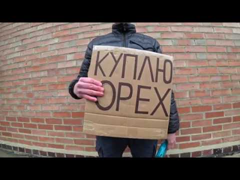 Сколько можно заработать покупая грецкий орех?