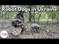 Robot Dogs in the Ukraine Conflict