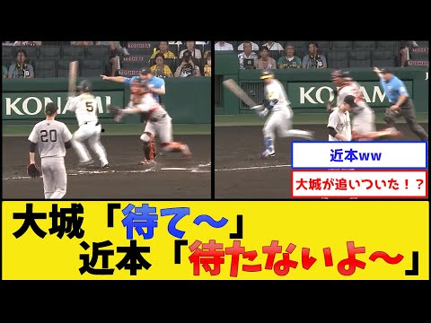 阪神近本＆巨人大城、追いかけっこし始めるww【阪神タイガースvs読売ジャイアンツ】【プロ野球なんJ 2ch プロ野球反応集】