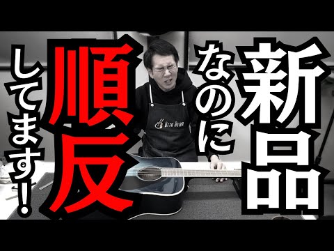 【失敗しないアコギ選び】初心者はどんなアコギを最初に買えば良い？プロがズバリお答えします！