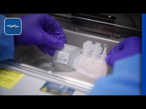 How to Thaw Cells in a Cryopreserved Leukopak