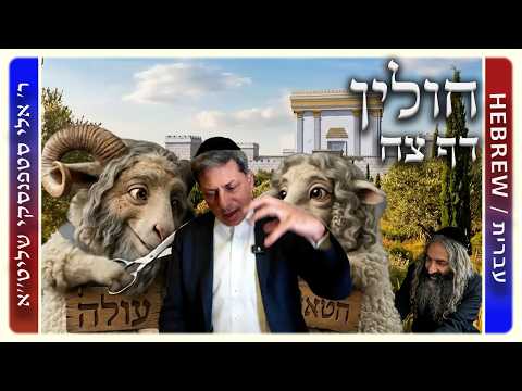 מרכז דף יומי - חולין דף צח. - ר' אלי סטפנסקי שליט"א