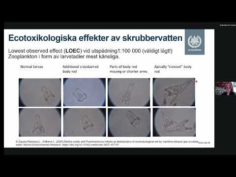 Östersjödagarna i Almedalen: Kan Sverige skydda havet från farliga utsläpp av skrubbervatten?