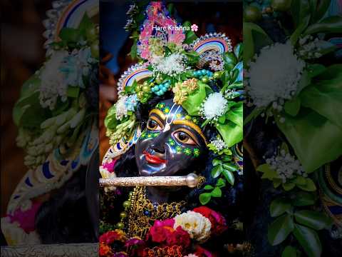 Radha Krishna Prem 💫 | Krishna Bhajan | 4K Fullscreen Status Video