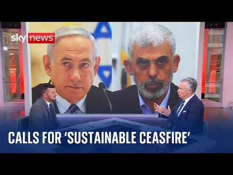 Lord Cameron calls for a 'sustainable ceasefire' | Israel-Hamas War