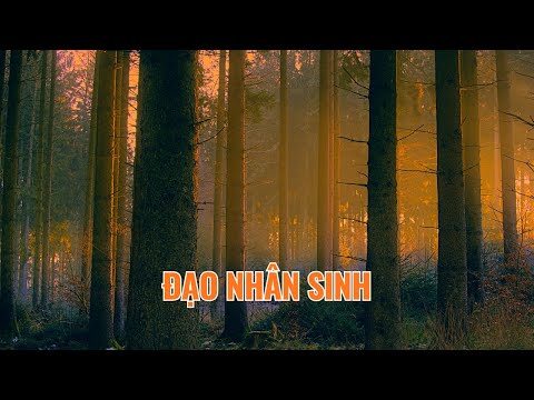 ĐẠO NHÂN SINH Người thắng không phải kẻ mạnh, mà là kẻ hiểu mình