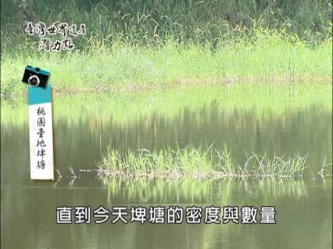 臺灣世界遺產潛力點-桃園臺地埤塘 - YouTube