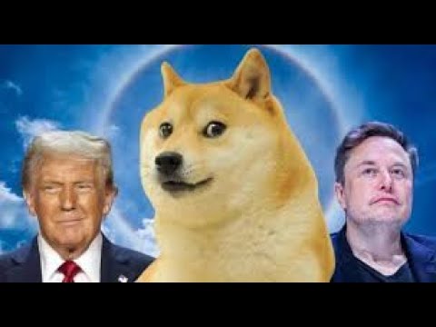 Trump & DOGE Fast Tracking us to the Rapture!